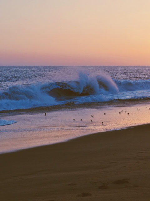 beach